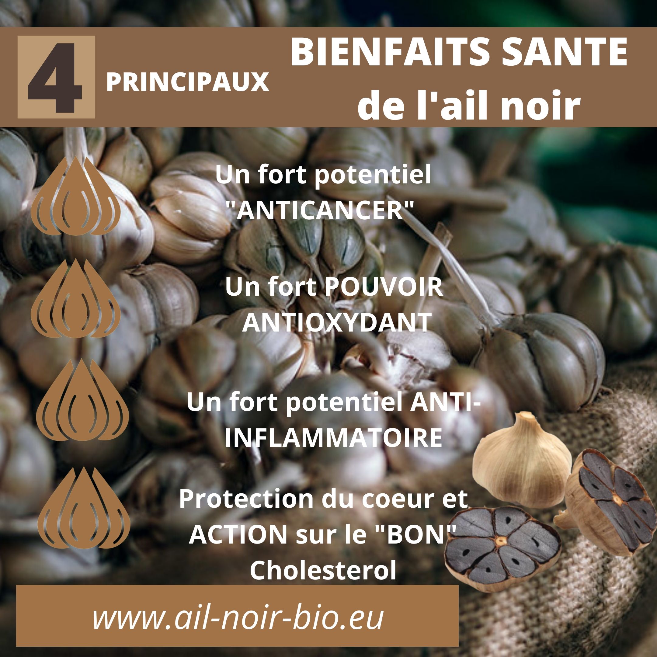 Les principaux bienfaits de l'ail noir 